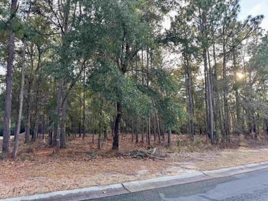 Beach Lot For Sale in Pawleys Island, South Carolina