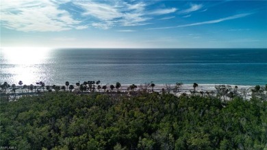 Beach Home For Sale in Naples, Florida