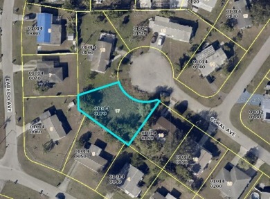 Beach Lot For Sale in Lehigh Acres, Florida