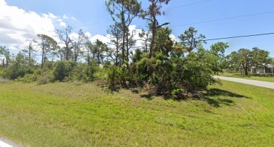 Beach Lot For Sale in Rotonda West, Florida