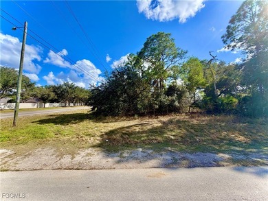 Beach Lot For Sale in Lehigh Acres, Florida