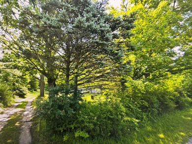 Beach Acreage For Sale in Covert, Michigan