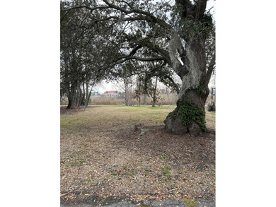 Beach Lot For Sale in Georgetown, South Carolina