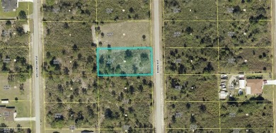 Beach Lot For Sale in Lehigh Acres, Florida