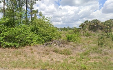 Beach Lot For Sale in Lehigh Acres, Florida