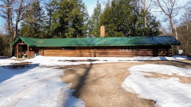 Beach Home For Sale in Free Soil, Michigan