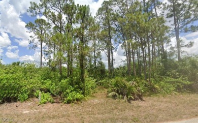 Beach Lot For Sale in Lehigh Acres, Florida