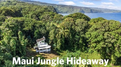 Beach Home For Sale in Haiku, Hawaii