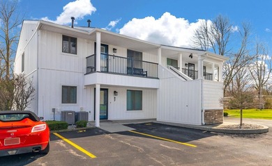 Beach Condo For Sale in Lexington, Michigan