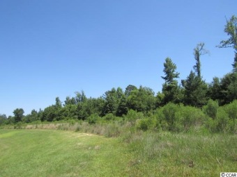 Beach Acreage Off Market in Myrtle Beach, South Carolina