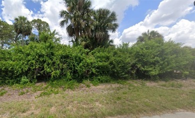 Beach Lot For Sale in Lehigh Acres, Florida