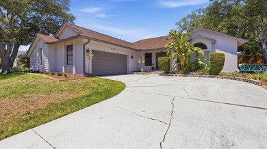 Beach Home Sale Pending in Sarasota, Florida
