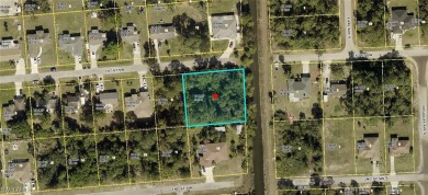 Beach Lot For Sale in Lehigh Acres, Florida