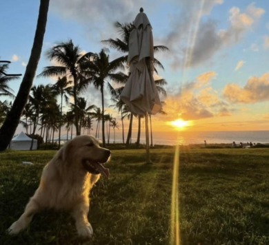 Beach Condo For Sale in Lahaina, Hawaii