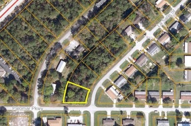 Beach Lot For Sale in Fort Pierce, Florida