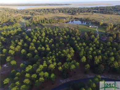 Beach Lot For Sale in Townsend, Georgia