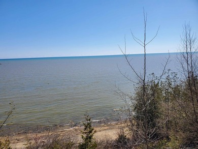 Beach Acreage For Sale in Harbor Beach, Michigan
