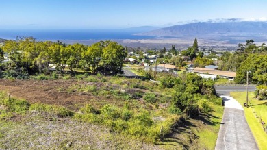 Beach Lot For Sale in Kula, Hawaii