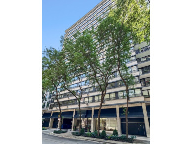 Beach Condo For Sale in Chicago, Illinois