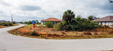 Beach Lot For Sale in Lehigh Acres, Florida