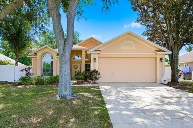 Beach Home For Sale in Palm Harbor, Florida