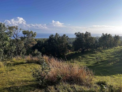 Beach Acreage For Sale in Hana, Hawaii