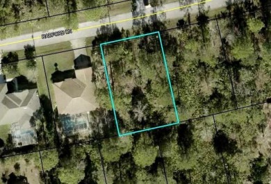 Beach Lot Sale Pending in Palm Coast, Florida