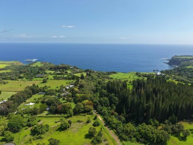 Beach Acreage For Sale in Haiku, Hawaii