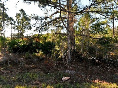 Beach Lot For Sale in North Port, Florida