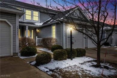 Beach Townhome/Townhouse Sale Pending in Cleveland, Ohio
