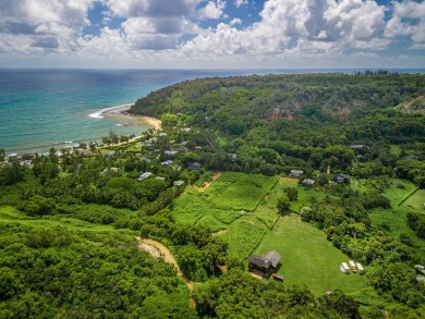 Beach Lot For Sale in Anahola, Hawaii