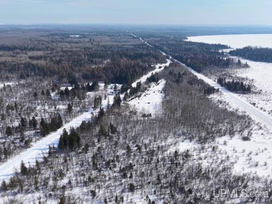 Beach Acreage Active Under Contract in Gulliver, Michigan