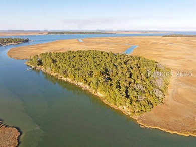 Beach Lot For Sale in Saint Helena Island, South Carolina