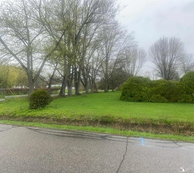 Beach Lot For Sale in Newport, Michigan