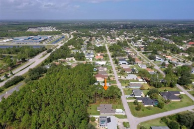 Beach Lot Sale Pending in Palm Coast, Florida