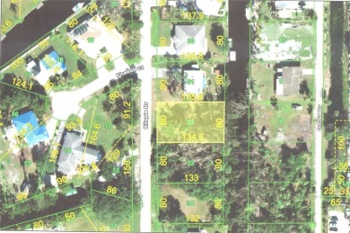 Beach Lot For Sale in Punta Gorda, Florida