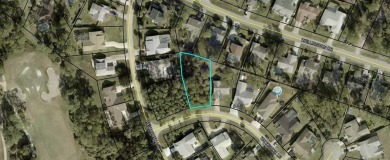 Beach Lot Sale Pending in Palm Coast, Florida