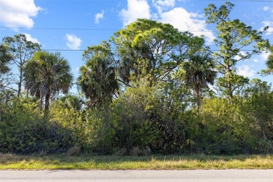 Beach Lot For Sale in Port Charlotte, Florida
