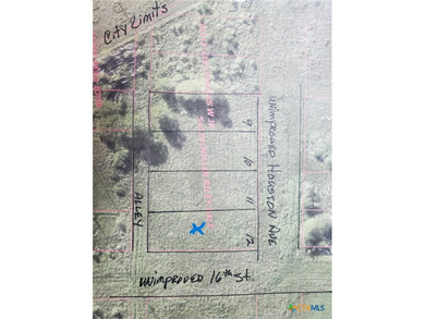 Beach Lot For Sale in Seadrift, Texas