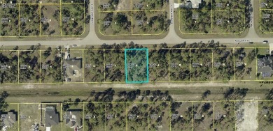 Beach Lot For Sale in Lehigh Acres, Florida