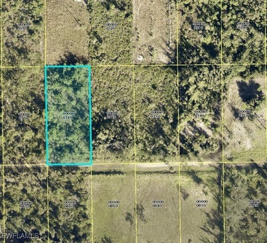 Beach Lot For Sale in Bokeelia, Florida