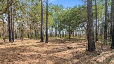 Beach Acreage For Sale in Pawleys Island, South Carolina
