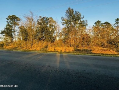 Beach Lot For Sale in Gulfport, Mississippi