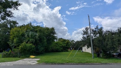 Beach Lot For Sale in Port Orange, Florida