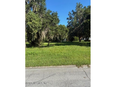 Beach Lot For Sale in Green Cove Springs, Florida