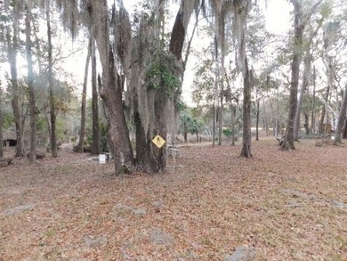 Beach Lot For Sale in Edisto Island, South Carolina