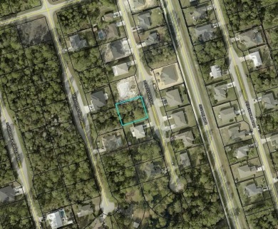 Beach Lot For Sale in Palm Coast, Florida