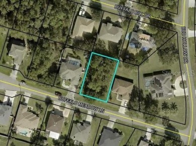 Beach Lot Sale Pending in Palm Coast, Florida