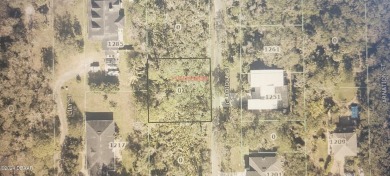 Beach Lot For Sale in Atlantic Beach, Florida