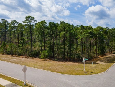 Beach Lot For Sale in Myrtle Beach, South Carolina
